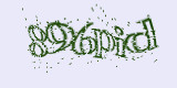 Проверочный код